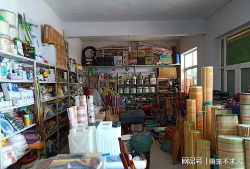 3種常見日用品暗藏健康隱患，家庭常備但需警惕